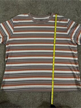 BDG Striped Short Sleeve Tee in Rust, Brown, White